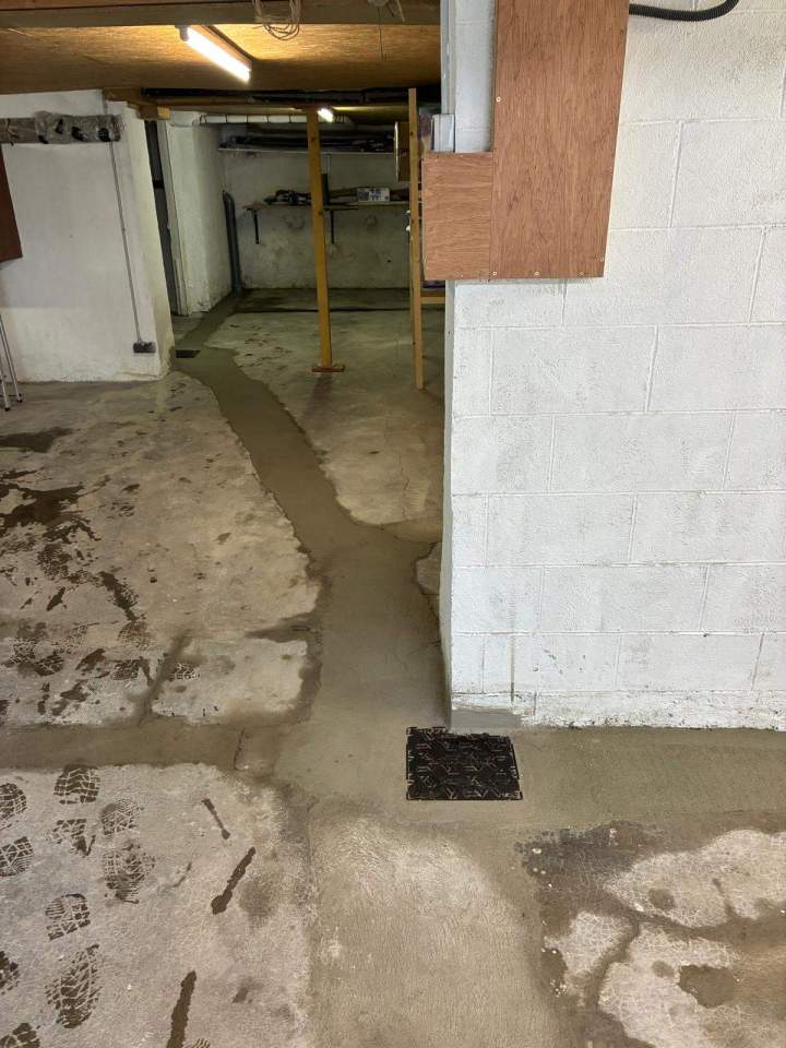 PHOTO 2026 02 24 21 19 03